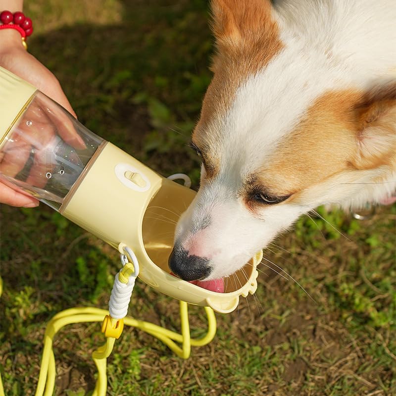2-in-1 Portable Dog Water Bottle